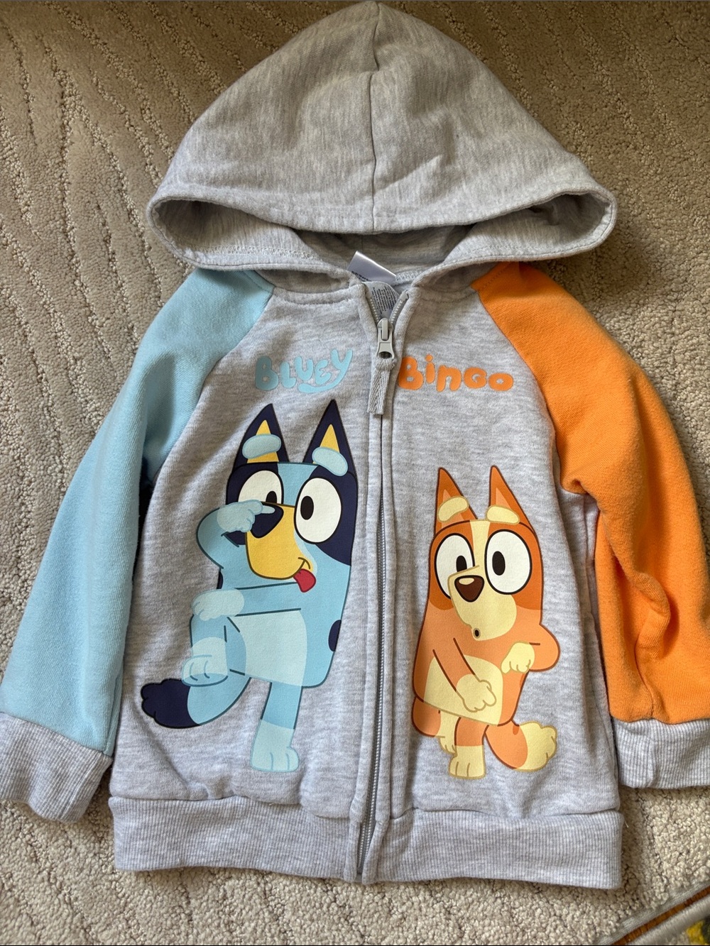 Bluey & Bingo Hoodie